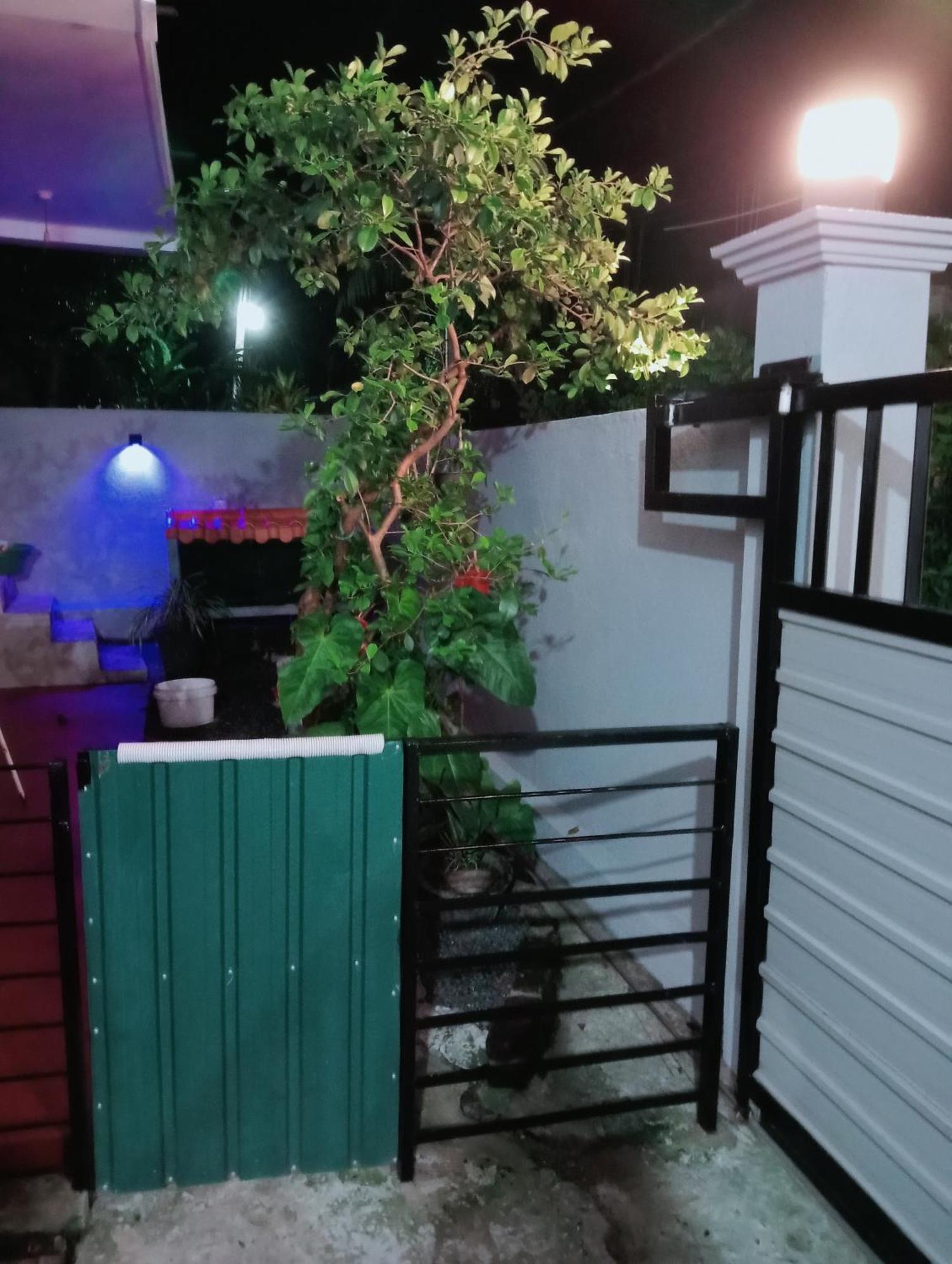 Great Yeheni Villa Hikkaduwa Exterior photo